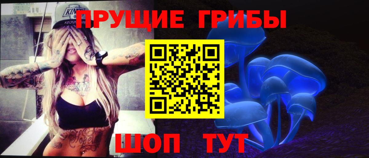 Малгобек  Галлюциногенные грибы Psilocybe  Вход с VPN 